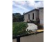 37 Judith street, Russell Island QLD 4184