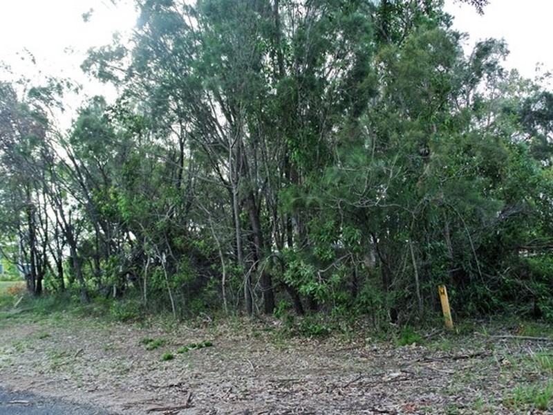 33 Jane Street, Macleay Island QLD 4184