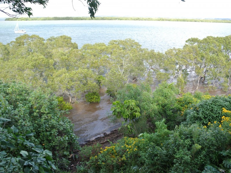 14 Emily Crescent, Macleay Island QLD 4184