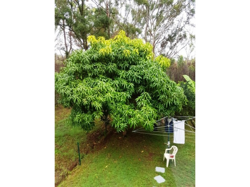 250 Centre Road, Russell Island QLD 4184