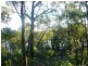 36 Calm Waters Crescent, Macleay Island QLD 4184