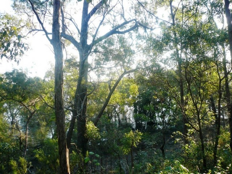 36 Calm Waters Crescent, Macleay Island QLD 4184