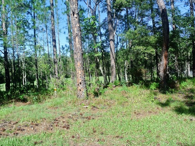 39 Nugent Street, Macleay Island QLD 4184