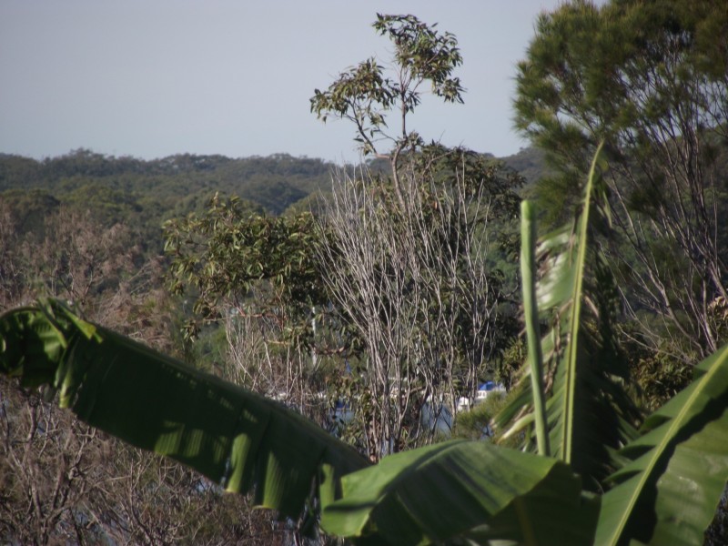 10 Camena Street, Macleay Island QLD 4184