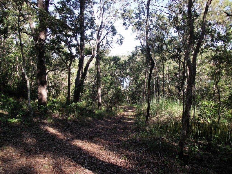 7 Brook Haven, Lamb Island QLD 4184