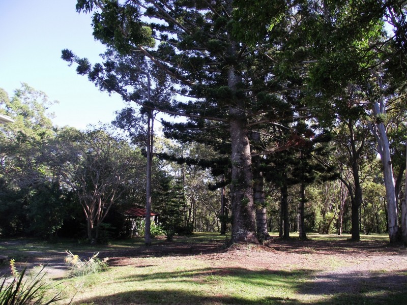 7 Brook Haven, Lamb Island QLD 4184