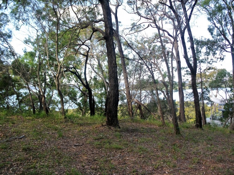 15 Boat Harbour Avenue, Macleay Island QLD 4184