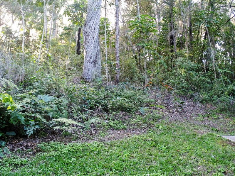 15 Boat Harbour Avenue, Macleay Island QLD 4184