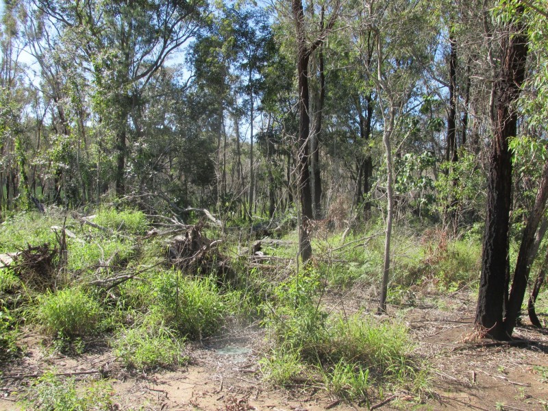 26 Lemontree Drive, Macleay Island QLD 4184
