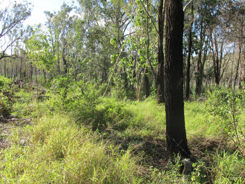 26 Lemontree Drive, Macleay Island QLD 4184