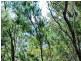 Lot 337 Koonwarra Parade, Macleay Island QLD 4184