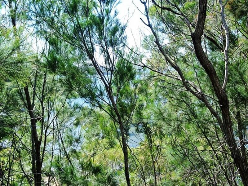 Lot 337 Koonwarra Parade, Macleay Island QLD 4184