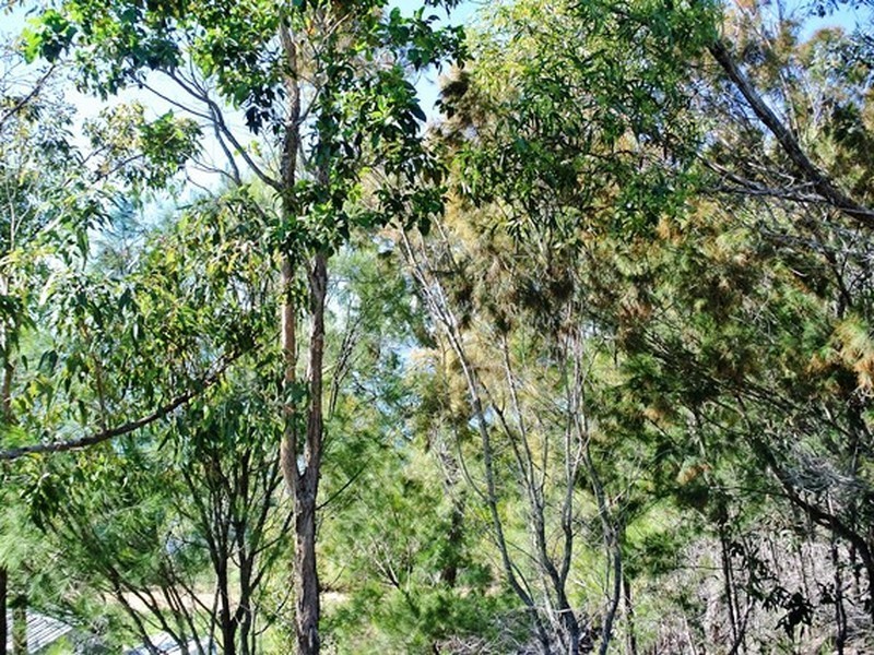 Lot 337 Koonwarra Parade, Macleay Island QLD 4184