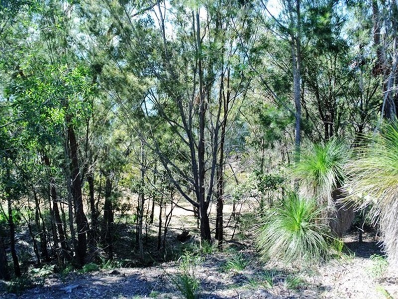 Lot 337 Koonwarra Parade, Macleay Island QLD 4184