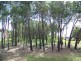 43 Scarborough Tce, Macleay Island QLD 4184