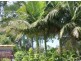 43 Scarborough Tce, Macleay Island QLD 4184
