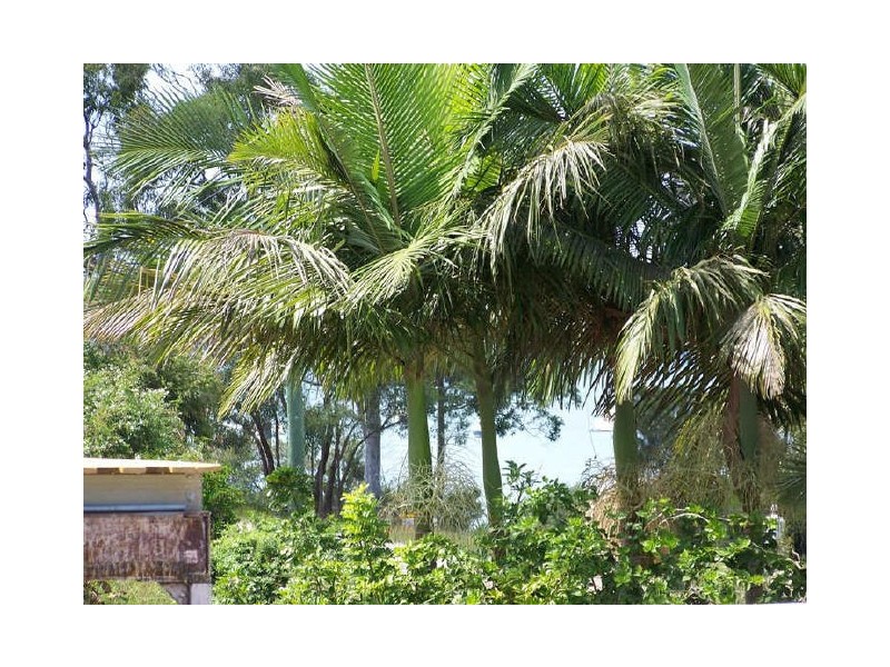43 Scarborough Tce, Macleay Island QLD 4184