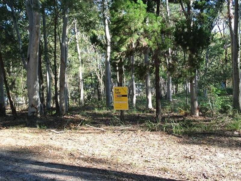 16 Parakeet Street, Macleay Island QLD 4184