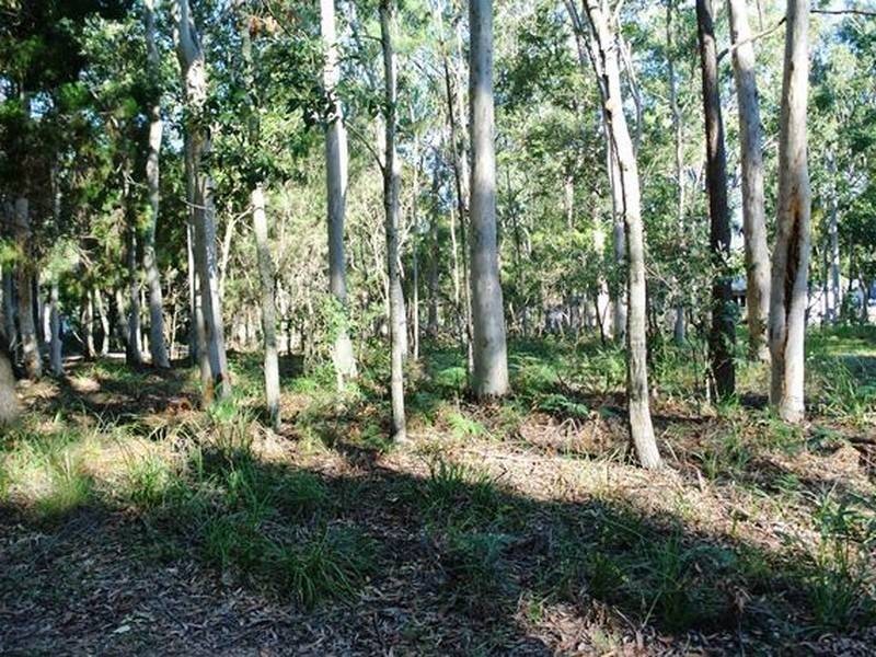 16 Parakeet Street, Macleay Island QLD 4184