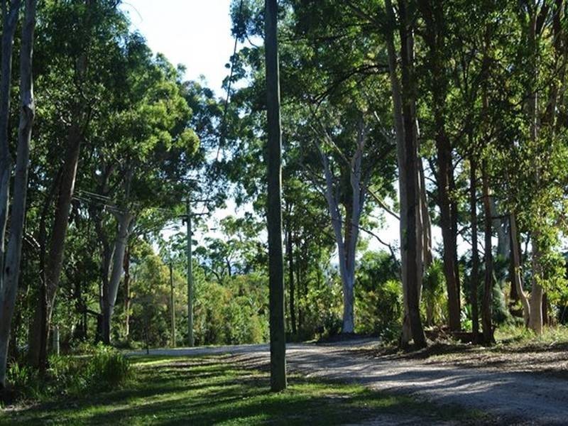 16 Parakeet Street, Macleay Island QLD 4184