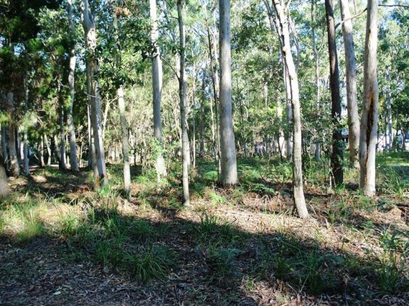 16 Parakeet Street, Macleay Island QLD 4184