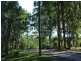 16 Parakeet Street, Macleay Island QLD 4184