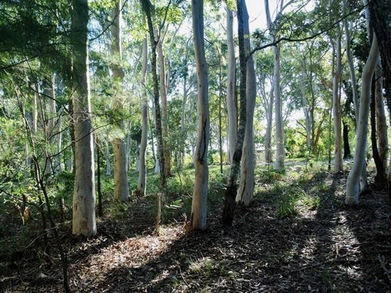 16 Parakeet Street, Macleay Island QLD 4184