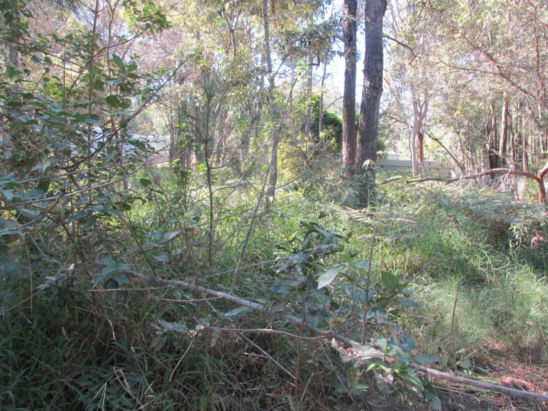 44 Arthur Street, Macleay Island QLD 4184