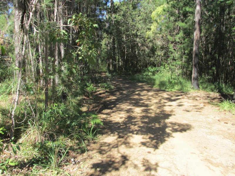 44 Arthur Street, Macleay Island QLD 4184