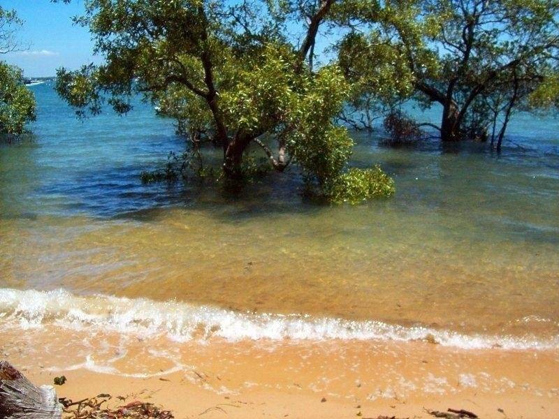 21 Coondooroopa Drive, Macleay Island QLD 4184