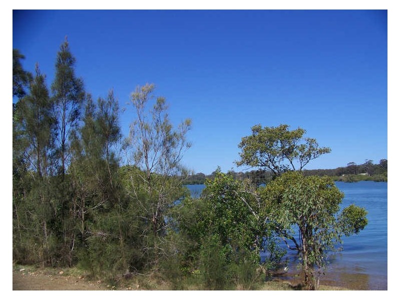 Macleay Island QLD 4184