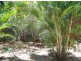 36 Coast Road, Macleay Island QLD 4184
