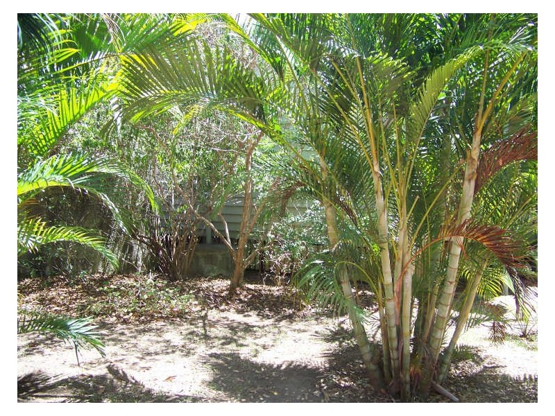 36 Coast Road, Macleay Island QLD 4184