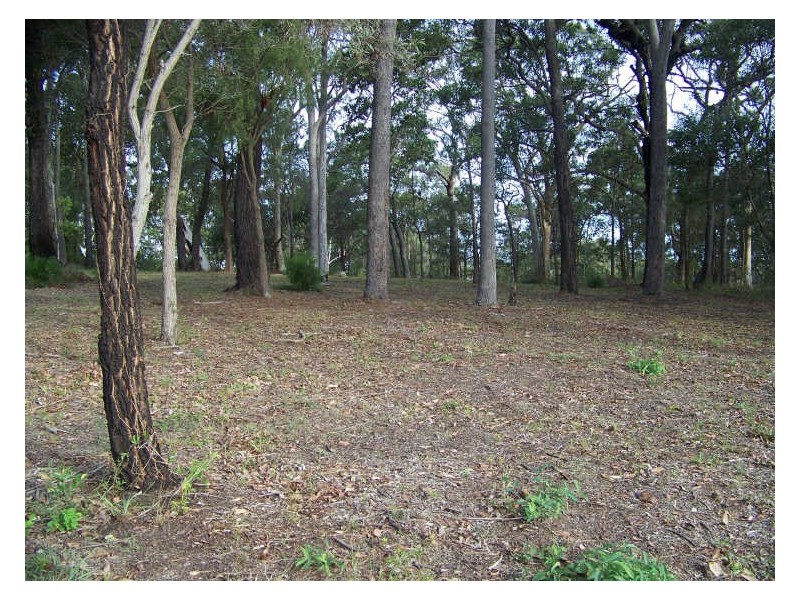 214 Kate Street, Macleay Island QLD 4184