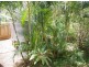 55 Francis Road, Macleay Island QLD 4184
