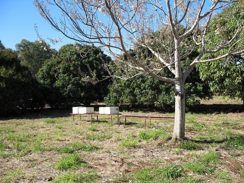 2-32 Sarmar Street, Russell Island QLD 4184
