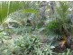 Lamb Island QLD 4184