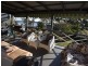 53 Deenya Parade, Russell Island QLD 4184