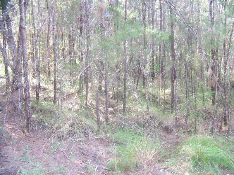 18 Piccaninny Street, Macleay Island QLD 4184