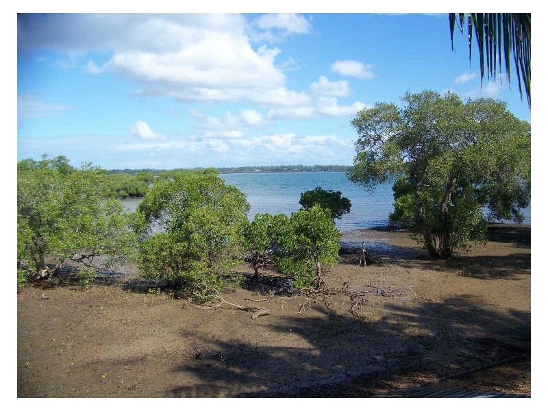46 Coorong Street, Macleay Island QLD 4184