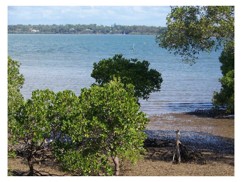 46 Coorong Street, Macleay Island QLD 4184