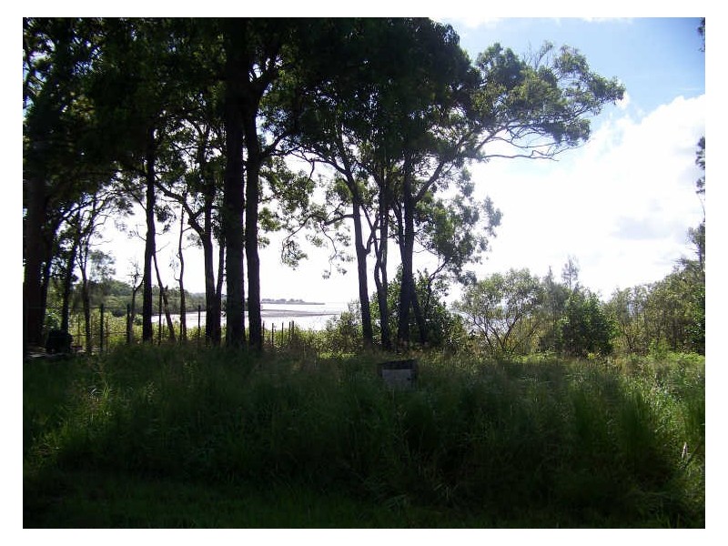 33 Blue Bay Crescent, Perulpa Island QLD 4184