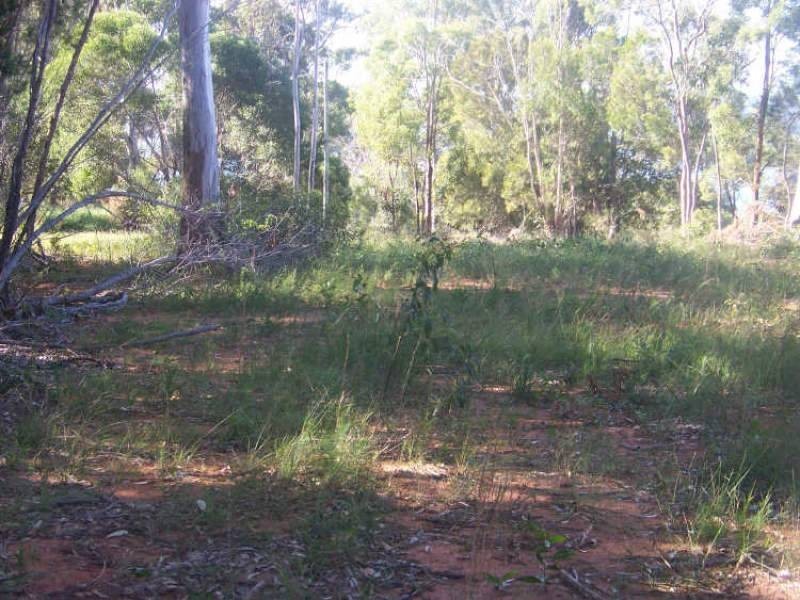 20 Opal Court, Russell Island QLD 4184