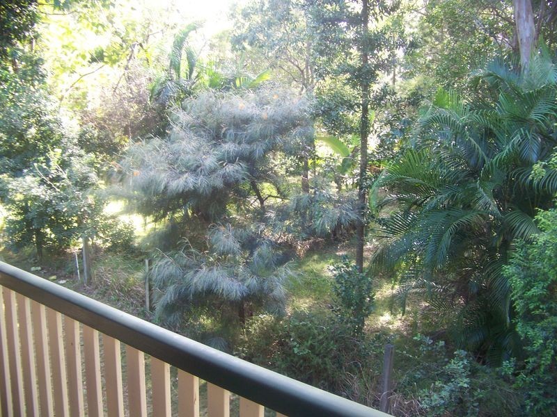 17 Pecan Street, Macleay Island QLD 4184