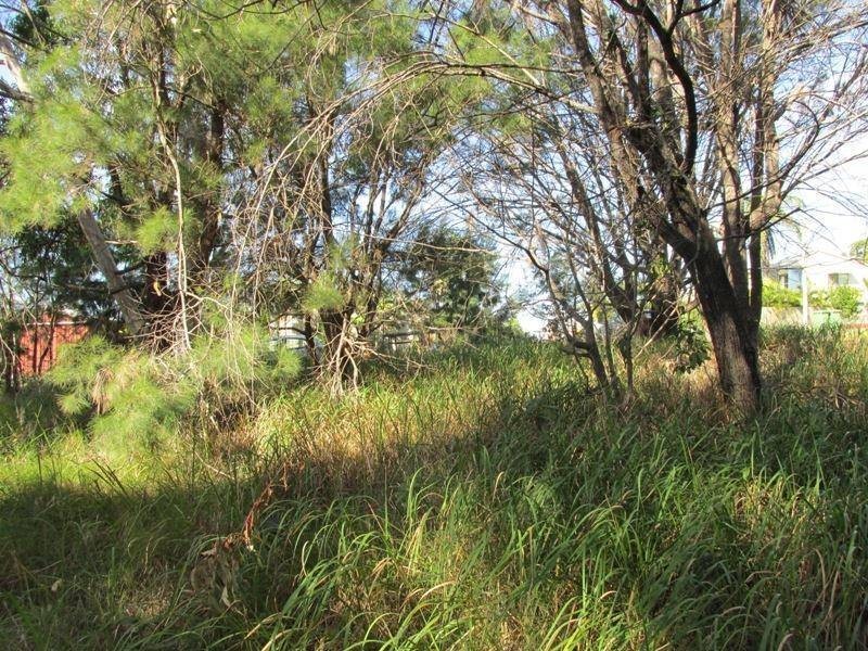 39 Barramundi Street, Macleay Island QLD 4184