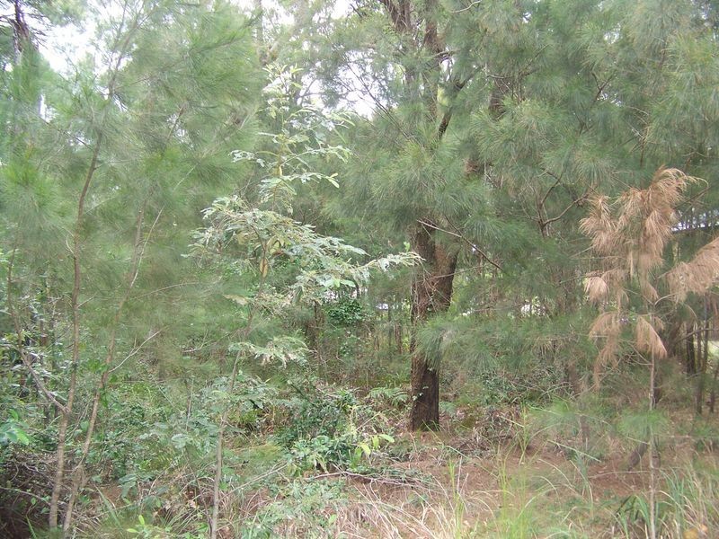 13 Kate Street, Macleay Island QLD 4184