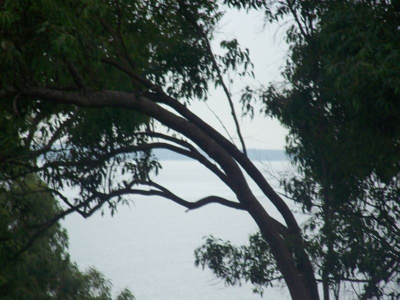 Macleay Island QLD 4184