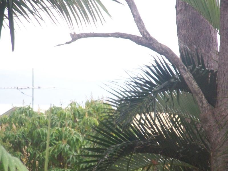 Macleay Island QLD 4184