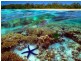 40 Bay Drive, Russell Island QLD 4184