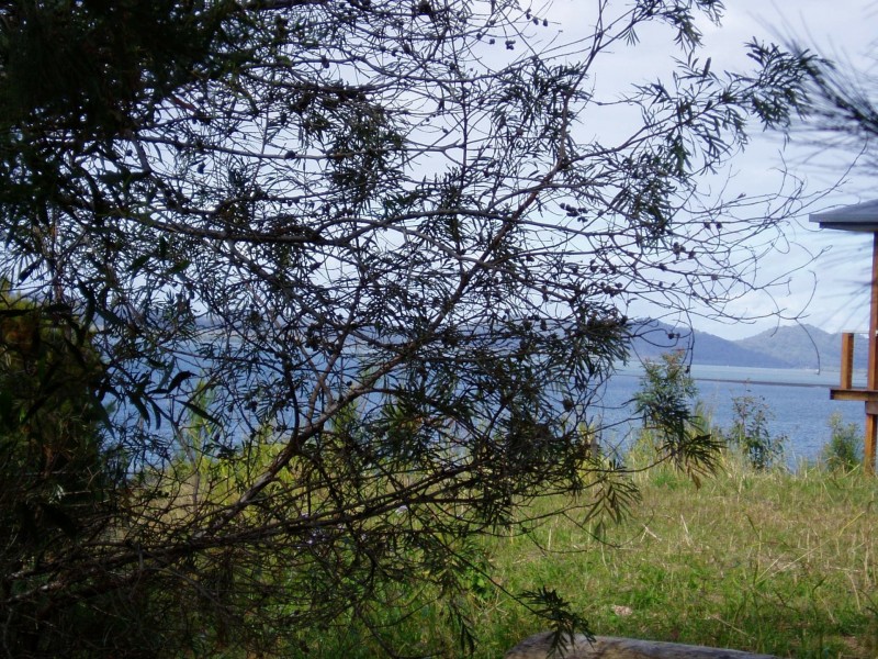 38 Koonwarra Parade, Macleay Island QLD 4184